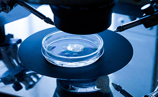 胚胎学家